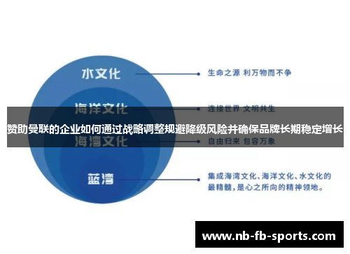 赞助曼联的企业如何通过战略调整规避降级风险并确保品牌长期稳定增长 赞助曼联的企业如何通过战略调整规避降级风险并确保品牌长期稳定增长