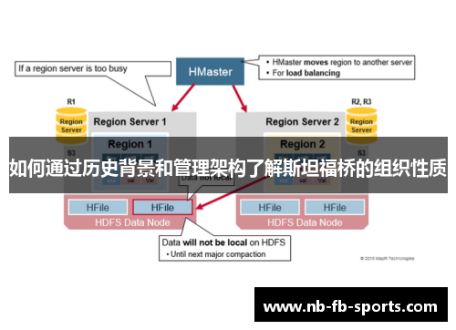 如何通过历史背景和管理架构了解斯坦福桥的组织性质