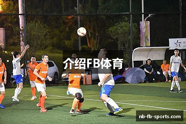 介绍FB体育